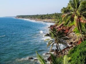 images (31)