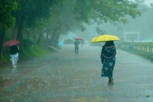 rainy