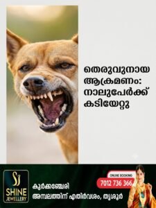 WhatsApp Image 2026-10-01 at 12.06.20 PM